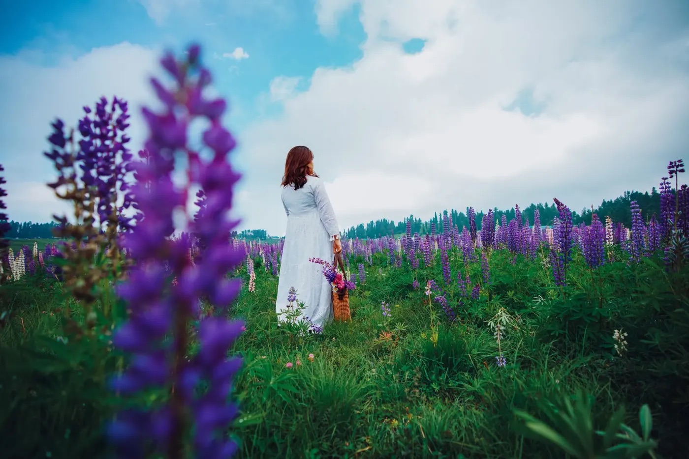 Open meadows of Gulmarg beneath snow peaks
