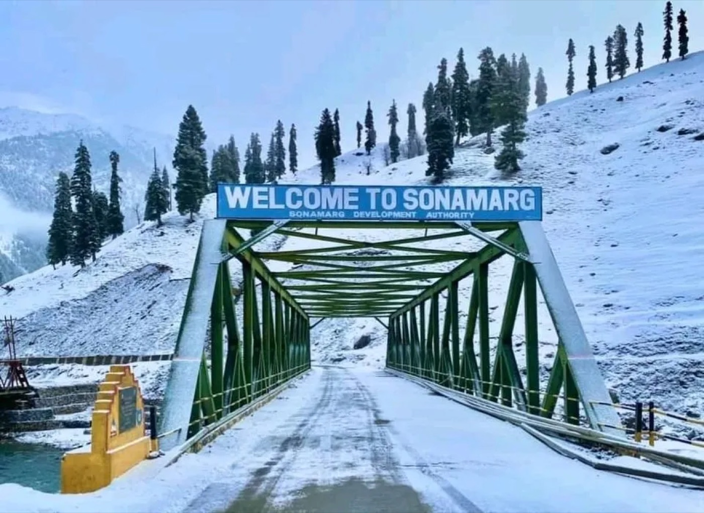 The golden meadow of Sonamarg
